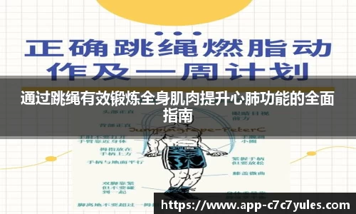通过跳绳有效锻炼全身肌肉提升心肺功能的全面指南